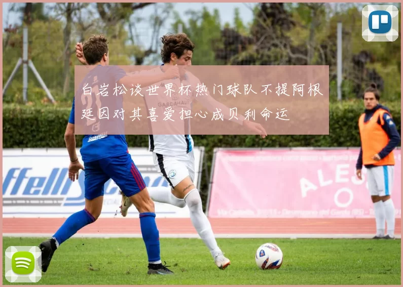白岩松谈世界杯热门球队不提阿根廷因对其喜爱担心成贝利命运