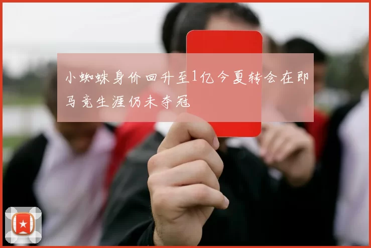 小蜘蛛身价回升至1亿今夏转会在即马竞生涯仍未夺冠